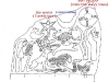 annunaki12