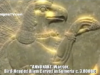 annunaki_cone