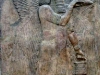 annunaki_domain_officer