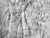 annunaki_treeoflife