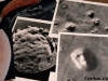 cydoniapics