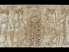 domain_tree_of_life