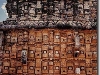 kabah-elephants-photo