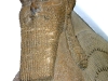 sphinx_face