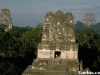 tikal