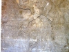 treeoflife3