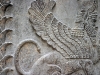 winged_sphinx