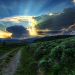The Dirt Road to the Nuclear Blast Site