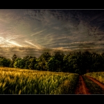5797872595_8e5a9fb169_b