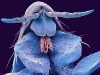 electro_microscope-flea