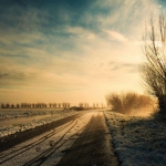 frozen-road