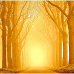 golden-path