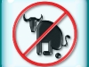 no_bullshit_wp