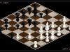 robbert-van-der-steeg_escher-chess