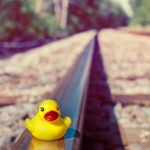 rubby-ducky-railroad