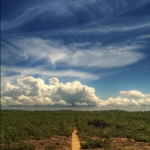 sandy-road