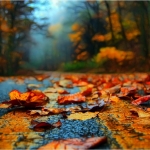 the-road