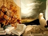 parkes_stil-llife