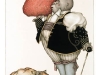 strawberry_collector