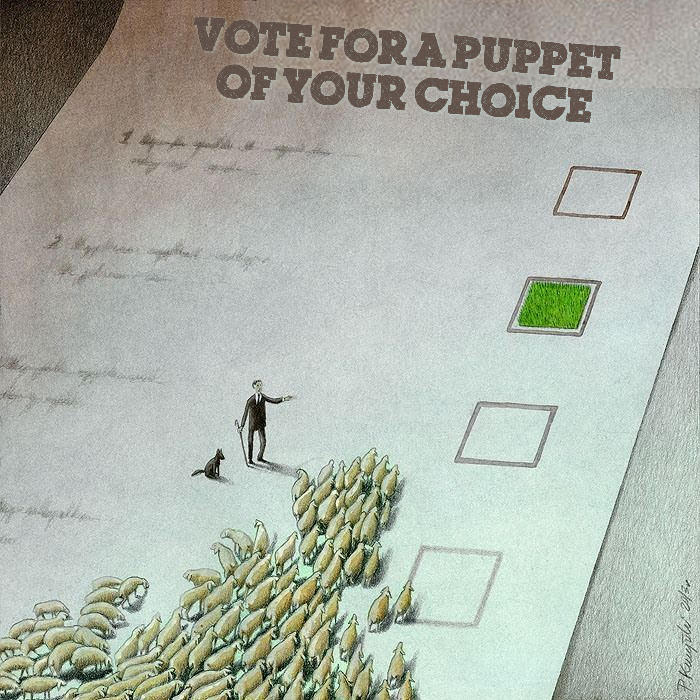 voting sheep