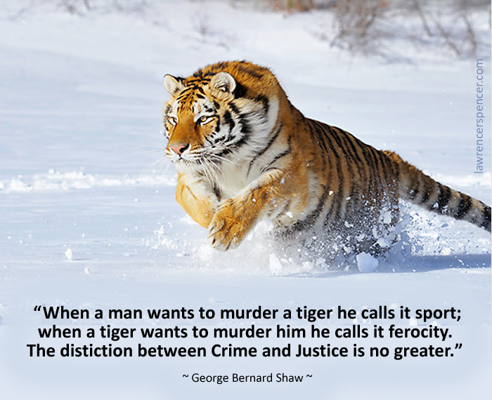 crime & justice